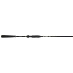 IONIZER G2 LONG RANGE SPIN INGSL 902 ML 2,74 m C.W.  5-25 g